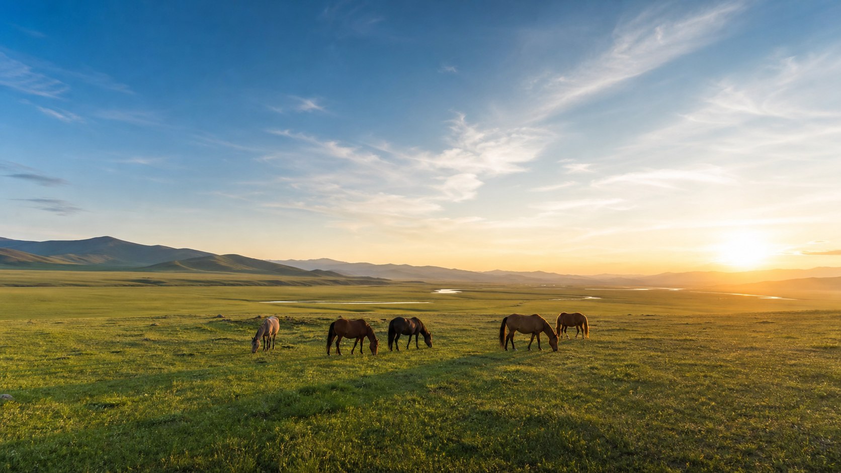 Mongolia travel in the steppe at sunrise with horses